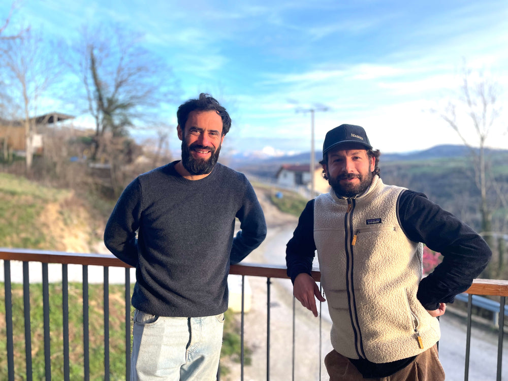 Domaine les Aricoques