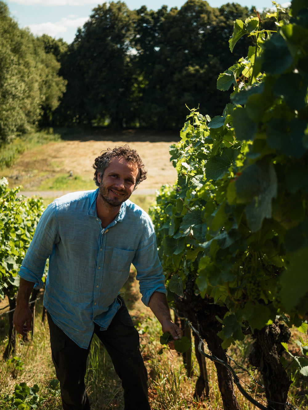 Weingut Helmut Christ