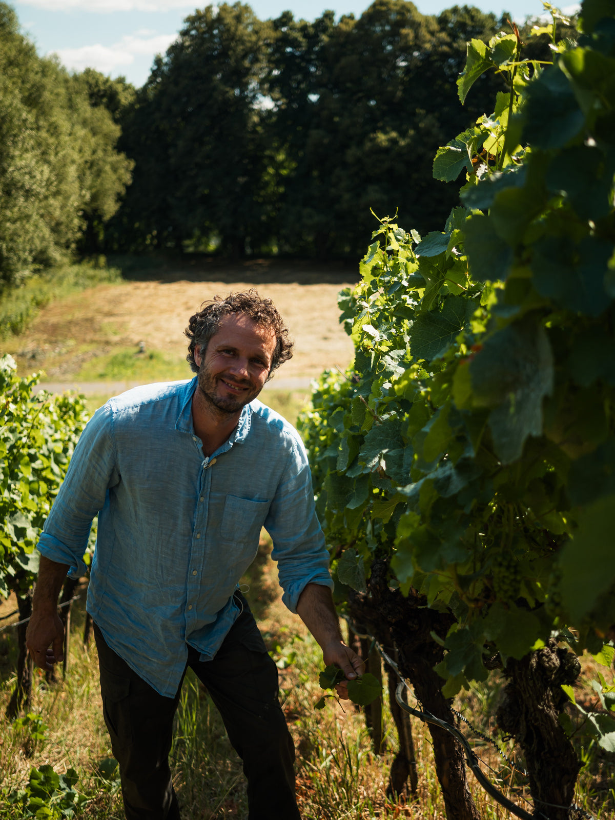 Weingut Helmut Christ