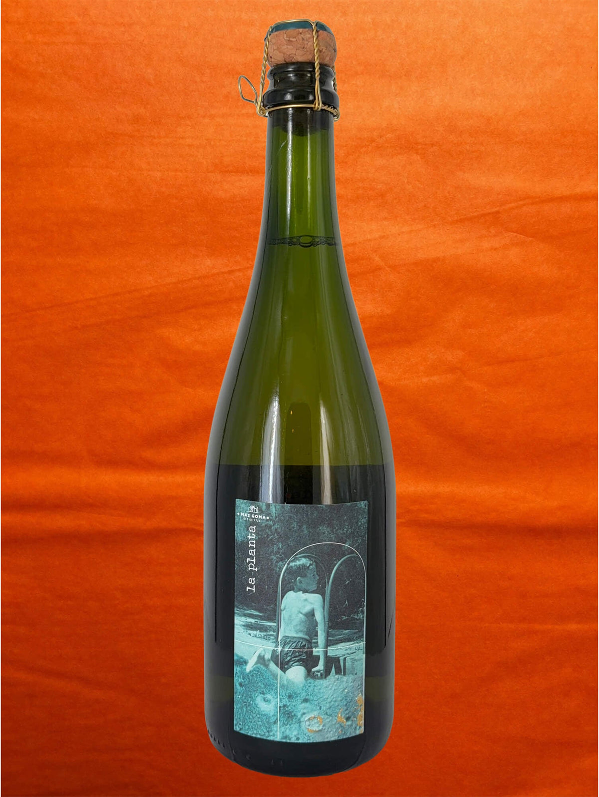 Mas Gomà NV(24) La Planta front label