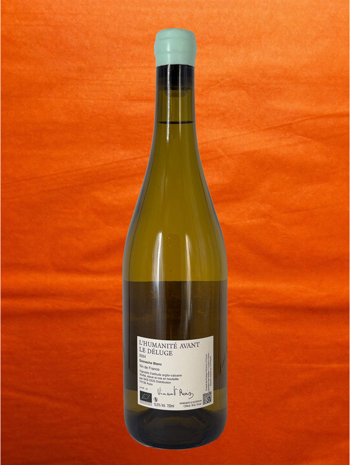 Vincent Ruiz 2024 "L'Humanité avant le Déluge" back label