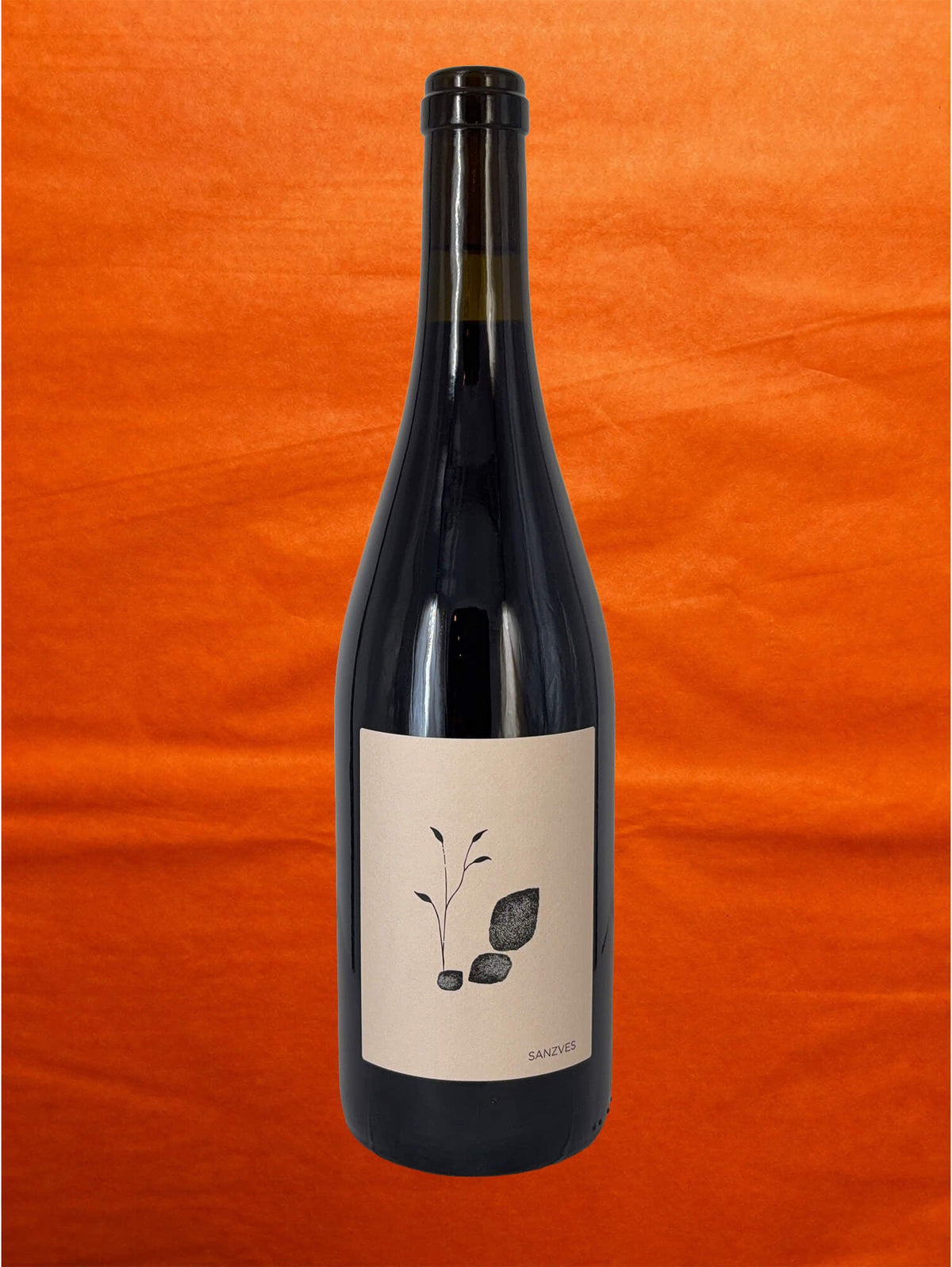 Tenuta Saiano 2024 Sanzves front label