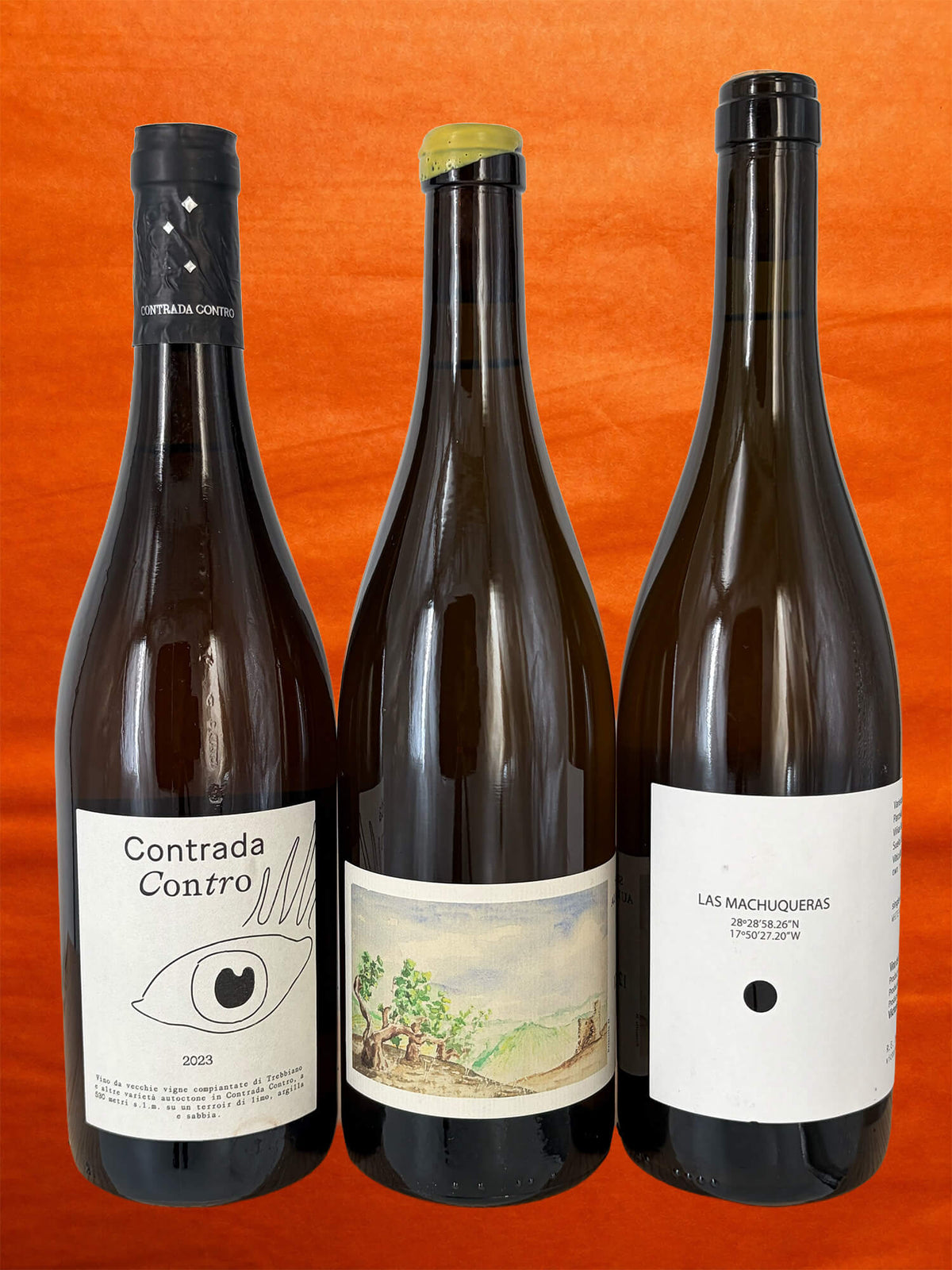 Great Whites! Curated Packs #8
